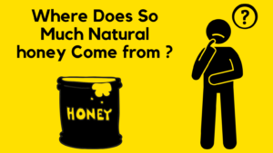 Buy Raw Honey