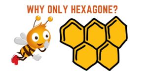 Hexagonal honeycomb