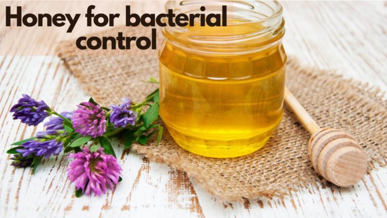 Honey for bacterial control