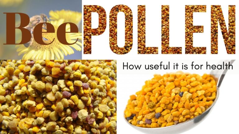 How useful bee pollen for health