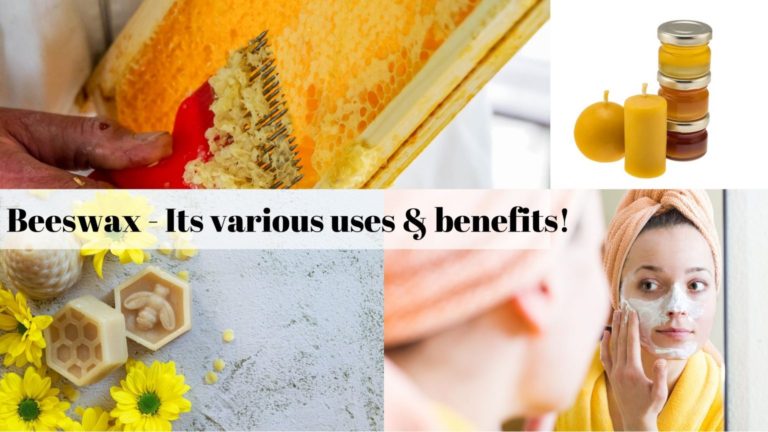Various uses of beeswax