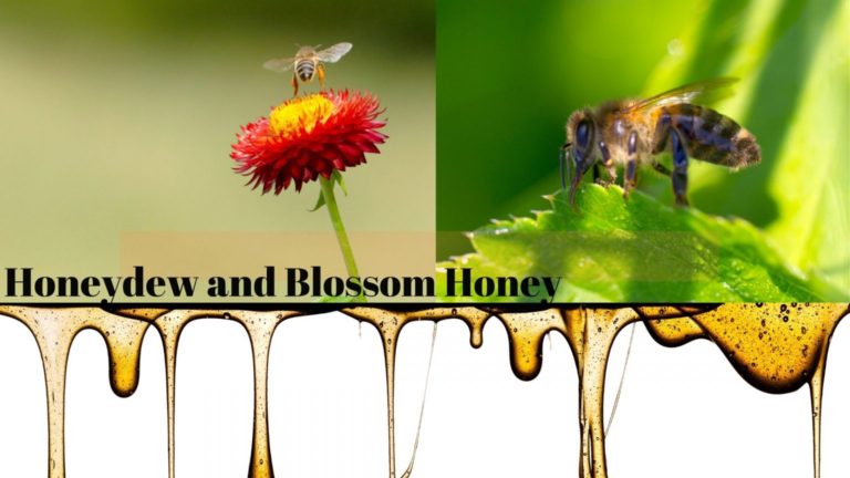 Raw Honey