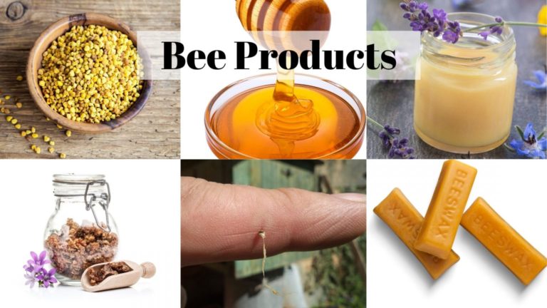 What are bee products