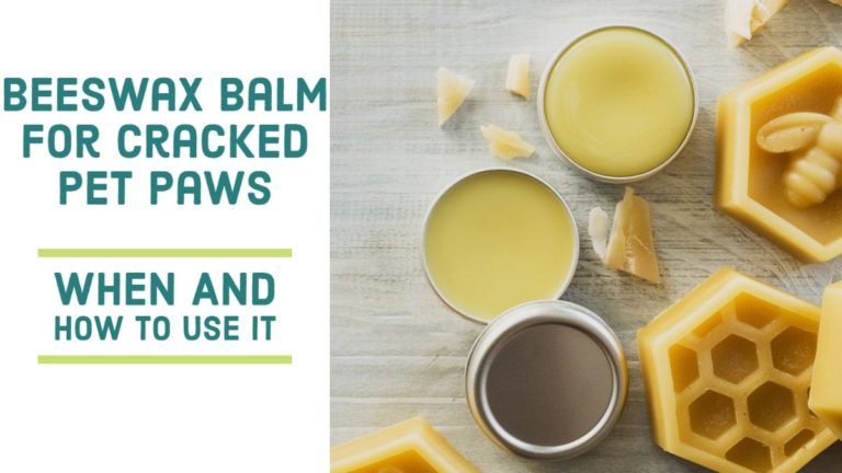 Beeswax protection for cracked paws