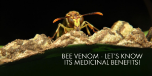 Benefits of bee venom