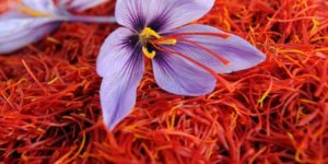 Kashmiri Saffron Health Benefits
