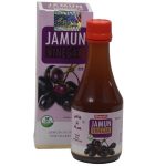 jamun vinegar online