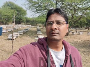 Apiary near Ajwain flowers.