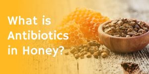 Benefit of Pure Honey