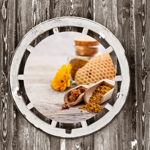 Propolis in the ancient time