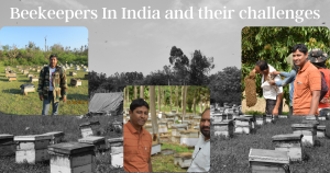 Beekeepers in India