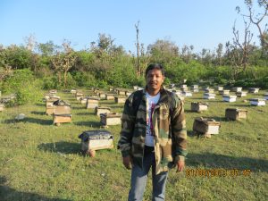 Sourcing honey from forest
