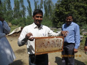 Honey direct from beekeepers