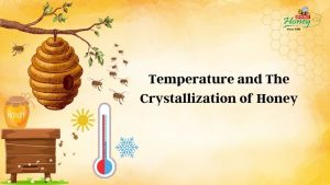 affect of temperature on crystallization of honey