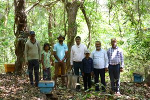 Aanturli jungle with local beekeeper