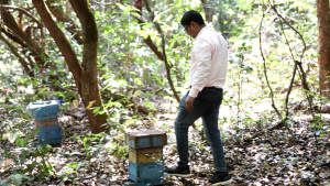 walk through jungle